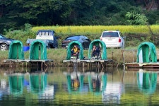 강호지락 > 이천 고담낚시터 : 낚시사랑