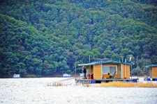 낚시사랑 > 송전지 평택좌대 : 낚시사랑