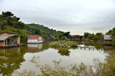 강호지락 > 개나리 낚시공원 : 낚시사랑