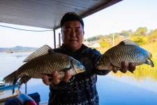 청춘어락 > 화성 버들낚시터 : 낚시사랑