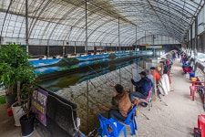 예담2 > 하우스의 계절~ 직두리 / 동교 하우스 : 낚시사랑