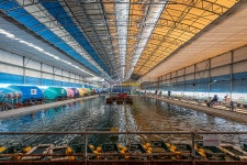 예담2 > 후크선장과 바다낚시 : 낚시사랑