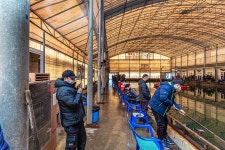 예담2 > 꾼의 연말연시~ 황산초지 하우스 : 낚시사랑