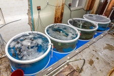 예담2 > 실내 낚시가 시시해? 안중락 실내바다낚시터 : 낚시사랑