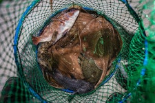 예담2 > 실내 낚시가 시시해? 안중락 실내바다낚시터 : 낚시사랑