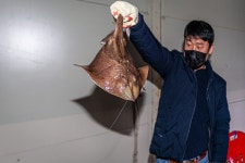 예담2 > 실내 낚시가 시시해? 안중락 실내바다낚시터 : 낚시사랑