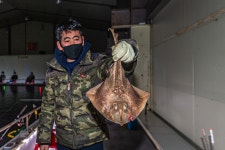 예담2 > 실내 낚시가 시시해? 안중락 실내바다낚시터 : 낚시사랑