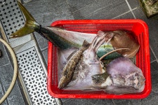 예담2 > 실내 낚시가 시시해? 안중락 실내바다낚시터 : 낚시사랑