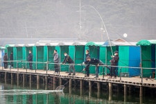 예담2 > 독도 바다 낚시터 : 낚시사랑