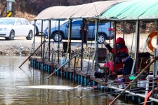 청춘어락 > 화성 신촌 낚시터 : 낚시사랑