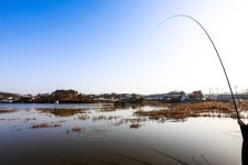 청춘어락 > 화성 버들 낚시터 : 낚시사랑