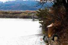 청춘어락 > 화성 버들 낚시터 : 낚시사랑