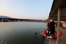 붕어도인 > 포천 쌍방죽낚시터 : 낚시사랑