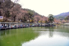 강호지락 > 금광호수 낚시터 : 낚시사랑