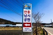 청춘어락 > 안흥 낚시 공원 : 낚시사랑