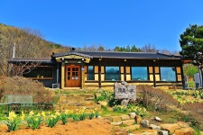 낚시사랑 > 당진 안국지 : 낚시사랑