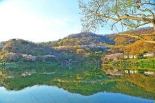 낚시사랑 > 당진 안국지 : 낚시사랑