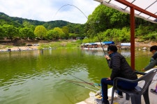 청춘어락 > 여주 관광농원 낚시터 : 낚시사랑