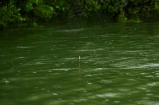 강호지락 > 덕산 낚시터 : 낚시사랑