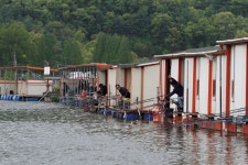 붕어도인 > 양평 대석낚시터 : 낚시사랑