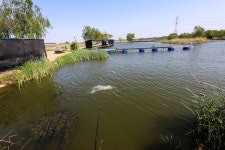 청춘어락 > 화성 노진 낚시터 : 낚시사랑