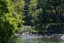 청춘어락 > 광주 유정 낚시터 : 낚시사랑