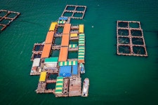 예담2 > 도비도 부흥호 좌대 : 낚시사랑