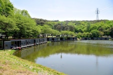 강호지락 > 황토 낚시터 : 낚시사랑