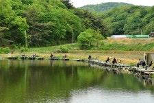 강호지락 > 황토 낚시터 : 낚시사랑