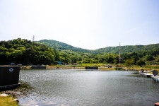 청춘어락 > 청주 황청리 낚시터 : 낚시사랑