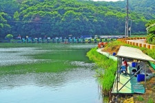 낚시사랑 > 광주 추곡낚시터 : 낚시사랑