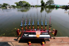 노아주 > 토종 계양낚시터 : 낚시사랑