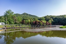 예담2 > 강화 삼성 낚시터 : 낚시사랑