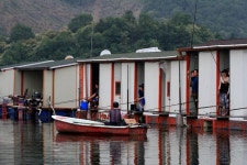 붕어도인 > 양평 대석낚시터 : 낚시사랑