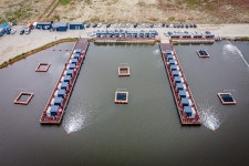 예담2 > 천혜 사랑 바다 낚시터 : 낚시사랑