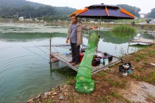 청춘어락 > 화성 어천 낚시터 : 낚시사랑