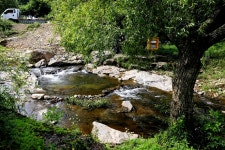 붕어도인 > 음성 차평지 : 낚시사랑