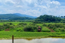 노아주 > 고삼지 양촌좌대 : 낚시사랑