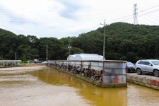 청춘어락 > 화성 신촌 낚시터 : 낚시사랑