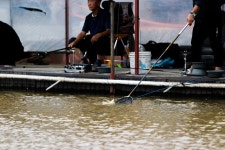 청춘어락 > 화성 신촌 낚시터 : 낚시사랑