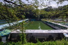 예담2 > 군포 산장 낚시터 : 낚시사랑