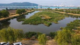 청춘어락 > 화성 노진 낚시터 : 낚시사랑