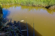 청춘어락 > 화성 노진 낚시터 : 낚시사랑