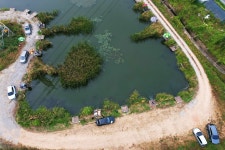 노아주 > 토종 계양낚시터 : 낚시사랑