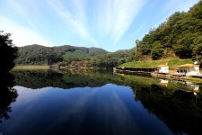 붕어도인 > 양평 백동낚시터 : 낚시사랑