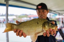 청춘어락 > 천안 석곡 낚시터. : 낚시사랑