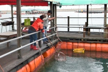 강호지락 > 생활낚시 메카 미리네좌대 : 낚시사랑