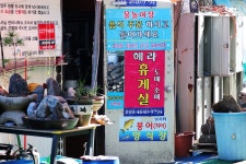 노아주 > 청학 헤라낚시터 : 낚시사랑