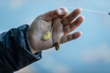 예담2 > 원주 서곡 낚시터 : 낚시사랑