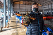 예담2 > 황산초지 하우스 : 낚시사랑